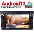 pumpkin head unit corsa d